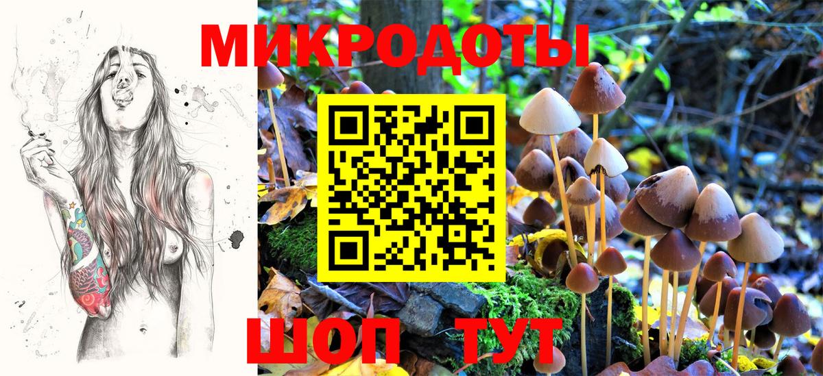 Галлюциногенные грибы Psilocybe  Вход с VPN  Новошахтинск  Псилоцибиновые грибы мухоморы 